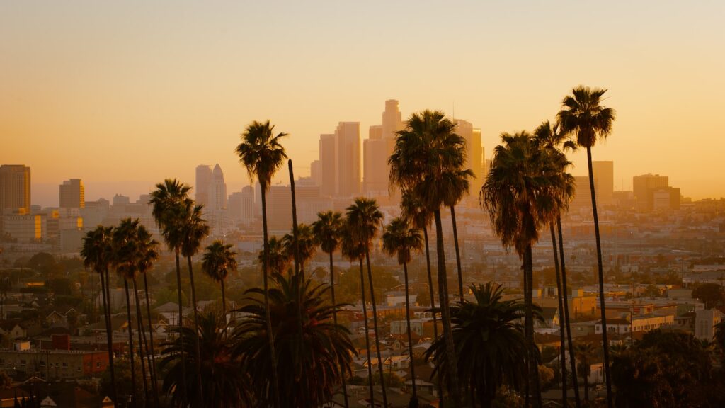 green palm tree and city view